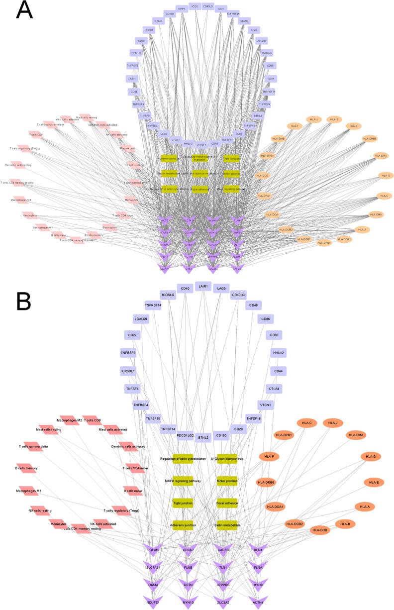 https://cdn.ncbi.nlm.nih.gov/pmc/blobs/6c14/11282767/7b1f38def698/13036_2024_437_Fig8_HTML.jpg