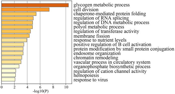https://cdn.ncbi.nlm.nih.gov/pmc/blobs/6c15/12370510/af0208a4a3da/fnut-12-1618158-g0006.jpg