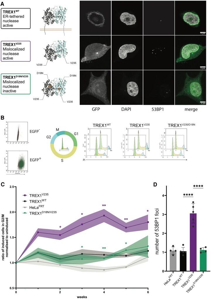 https://cdn.ncbi.nlm.nih.gov/pmc/blobs/6c27/12316019/134c820c280e/awaf085f5.jpg
