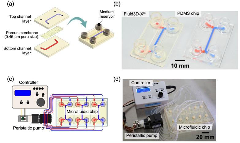 https://cdn.ncbi.nlm.nih.gov/pmc/blobs/6c38/11945015/2523960c644e/micromachines-16-00327-g001.jpg