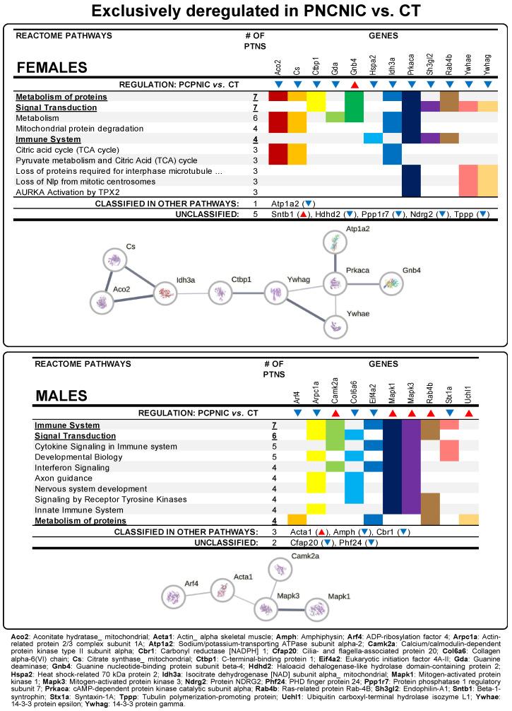 https://cdn.ncbi.nlm.nih.gov/pmc/blobs/6c48/12025060/a6bb53b45a51/biomedicines-13-00901-g002.jpg