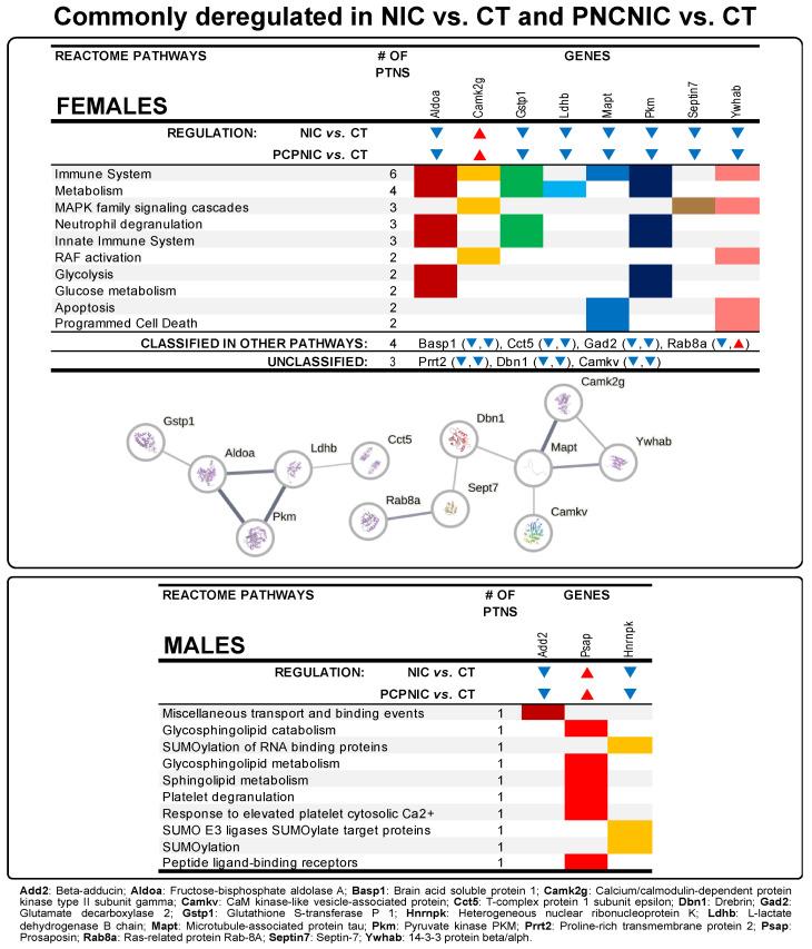 https://cdn.ncbi.nlm.nih.gov/pmc/blobs/6c48/12025060/d909edca1352/biomedicines-13-00901-g003.jpg