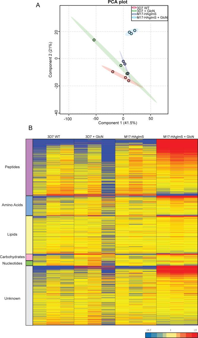 https://cdn.ncbi.nlm.nih.gov/pmc/blobs/6c4b/9470162/48d6d3fa74f1/elife-80813-fig8-figsupp1.jpg