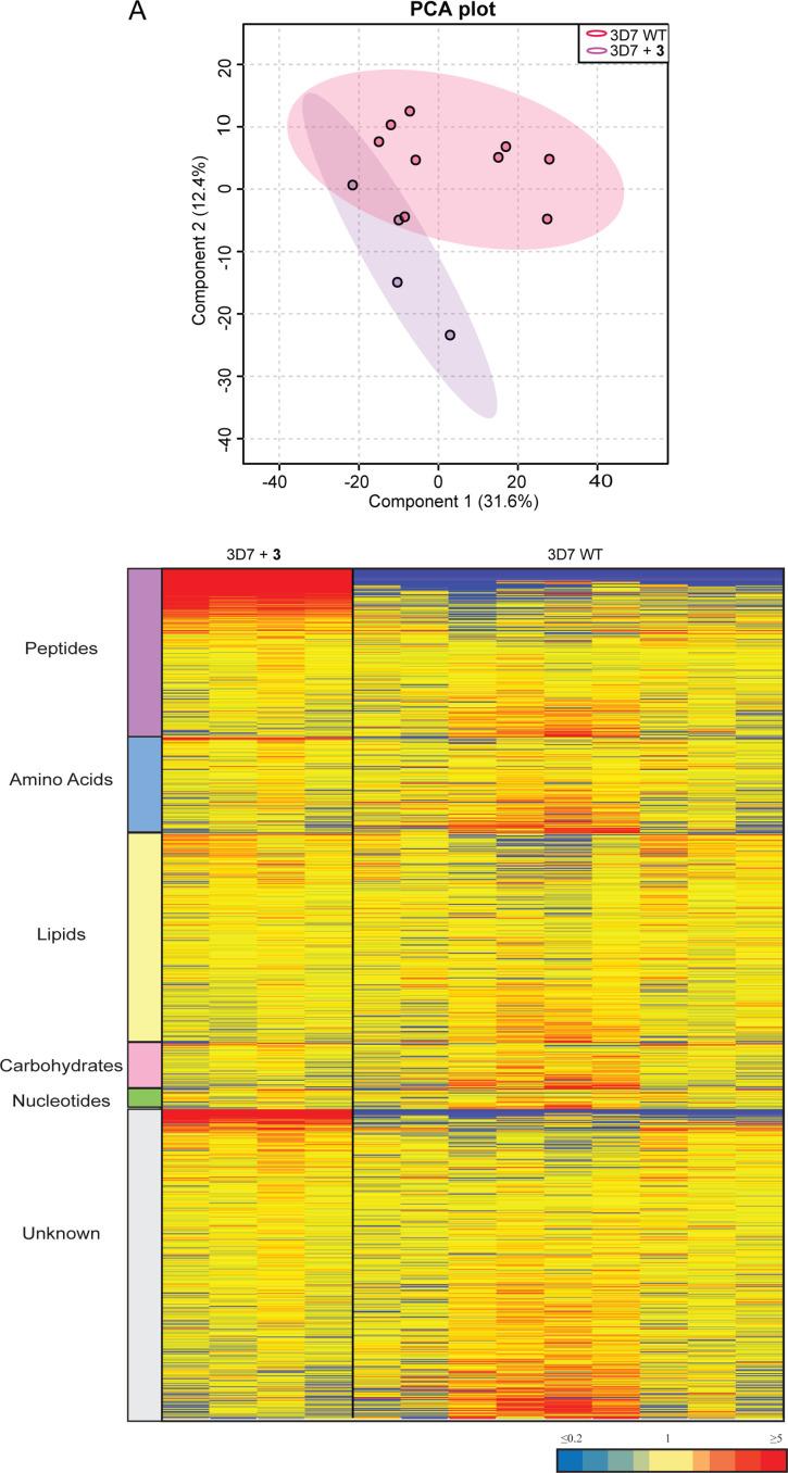 https://cdn.ncbi.nlm.nih.gov/pmc/blobs/6c4b/9470162/6d85dbdcbc30/elife-80813-fig8-figsupp2.jpg