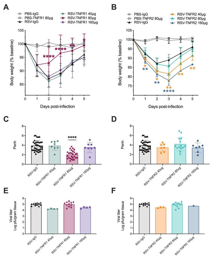 https://cdn.ncbi.nlm.nih.gov/pmc/blobs/6c69/7588931/8a9cf3ee2fa5/viruses-12-01176-g002.jpg