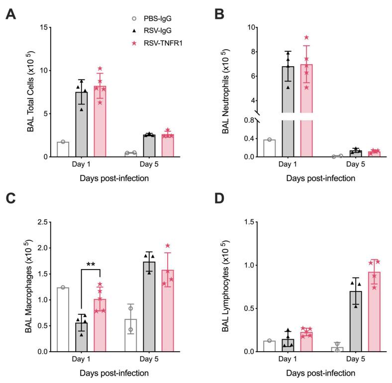 https://cdn.ncbi.nlm.nih.gov/pmc/blobs/6c69/7588931/95caafbc488d/viruses-12-01176-g008.jpg