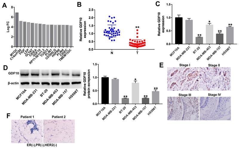 https://cdn.ncbi.nlm.nih.gov/pmc/blobs/6c6b/6555447/465a2a384b12/aging-11-101983-g002.jpg