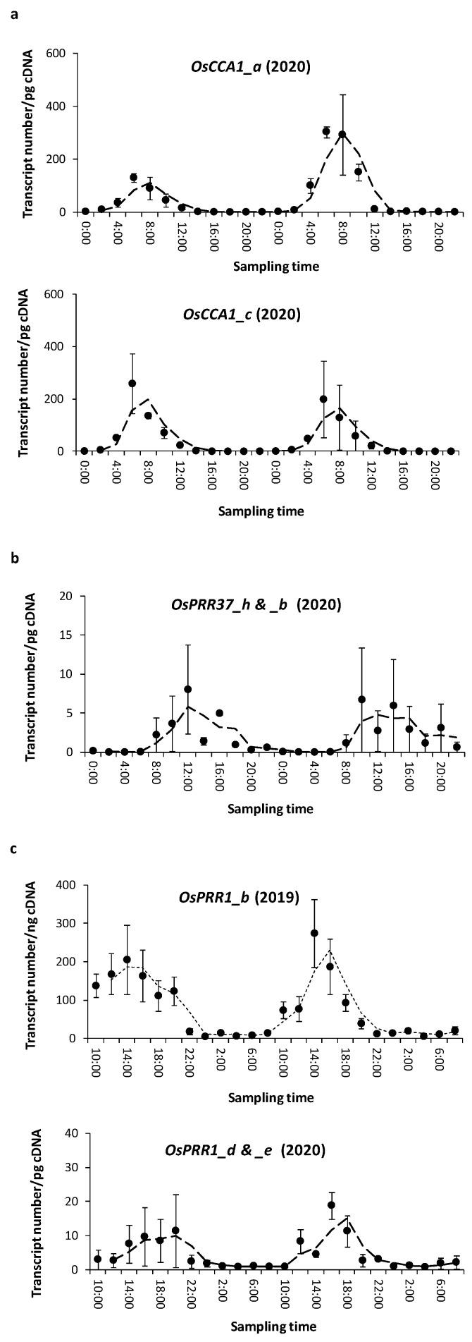 https://cdn.ncbi.nlm.nih.gov/pmc/blobs/6c7e/10671530/f4460694886b/genes-14-02027-g002.jpg