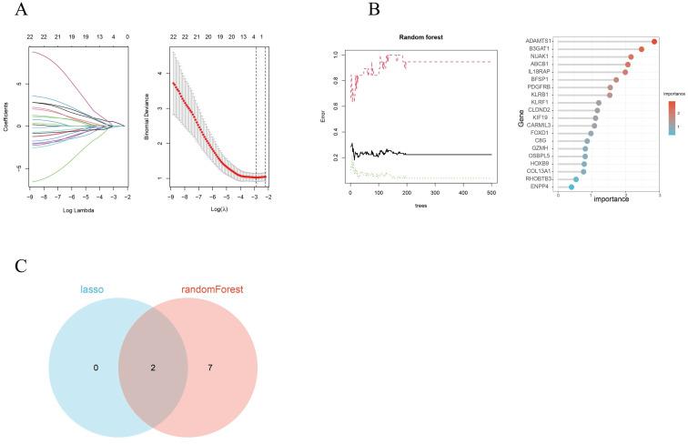 https://cdn.ncbi.nlm.nih.gov/pmc/blobs/6cb8/11103402/88130d9865e5/ijmsv21p1079g004.jpg