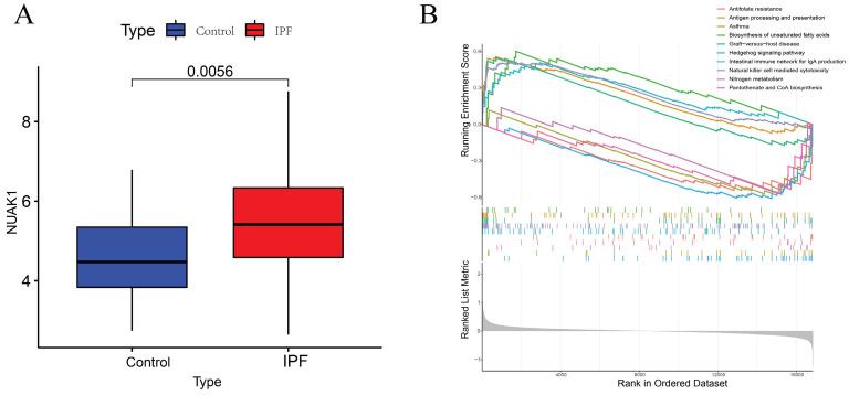 https://cdn.ncbi.nlm.nih.gov/pmc/blobs/6cb8/11103402/d1a1fbe65cdb/ijmsv21p1079g006.jpg