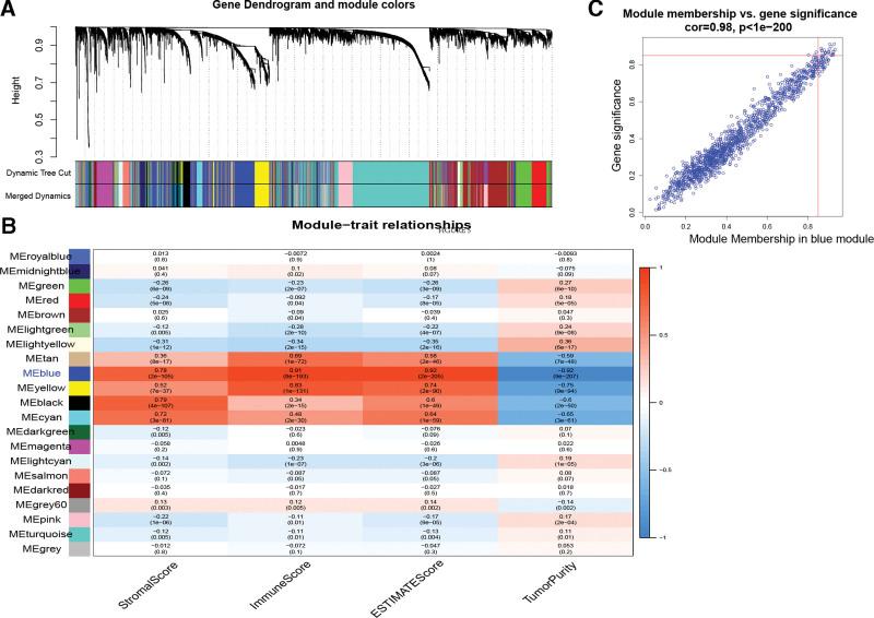 https://cdn.ncbi.nlm.nih.gov/pmc/blobs/6cc6/9666197/bf747497d6de/medi-101-e31195-g005.jpg