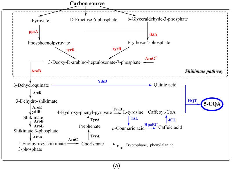 https://cdn.ncbi.nlm.nih.gov/pmc/blobs/6cd9/9774772/b775342596bb/antioxidants-11-02427-g006a.jpg