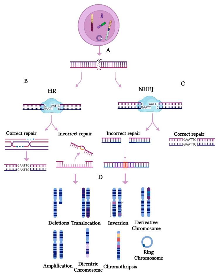 https://cdn.ncbi.nlm.nih.gov/pmc/blobs/6ce0/11988187/4600caecc344/cancers-17-01222-g002.jpg