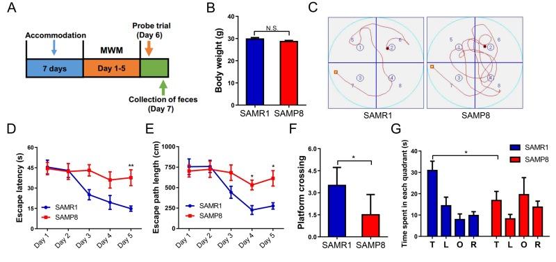 https://cdn.ncbi.nlm.nih.gov/pmc/blobs/6cfa/6046237/5d2d884126e9/aging-10-101464-g001.jpg