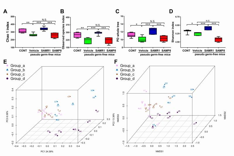 https://cdn.ncbi.nlm.nih.gov/pmc/blobs/6cfa/6046237/c7d6b68b336a/aging-10-101464-g005.jpg