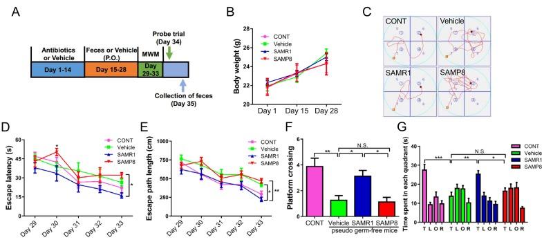 https://cdn.ncbi.nlm.nih.gov/pmc/blobs/6cfa/6046237/cdaf22b1f217/aging-10-101464-g004.jpg