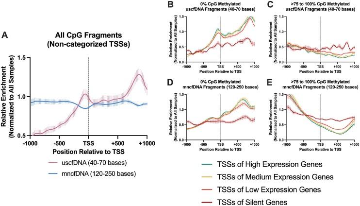 https://cdn.ncbi.nlm.nih.gov/pmc/blobs/6d10/11194076/251d0b076a61/gkae276fig5.jpg