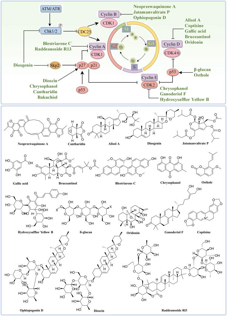https://cdn.ncbi.nlm.nih.gov/pmc/blobs/6d17/12315327/e5974cdb0ed5/12943_2025_2416_Fig2_HTML.jpg