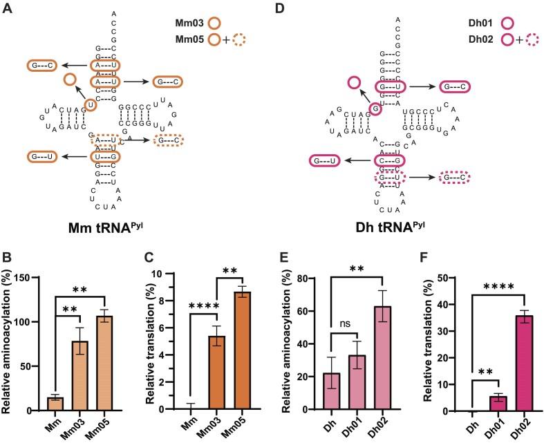 https://cdn.ncbi.nlm.nih.gov/pmc/blobs/6d2b/10810272/7c68a0eddfe5/gkad1188fig3.jpg