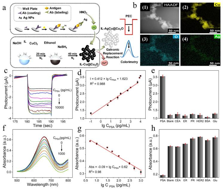 https://cdn.ncbi.nlm.nih.gov/pmc/blobs/6d2e/10813372/615c6777686f/biosensors-14-00040-g002.jpg