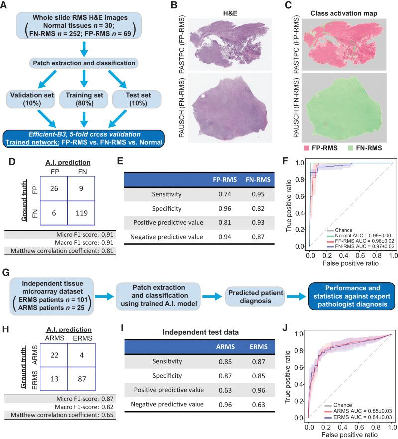 https://cdn.ncbi.nlm.nih.gov/pmc/blobs/6d52/9843436/3392f7bd8012/364fig2.jpg