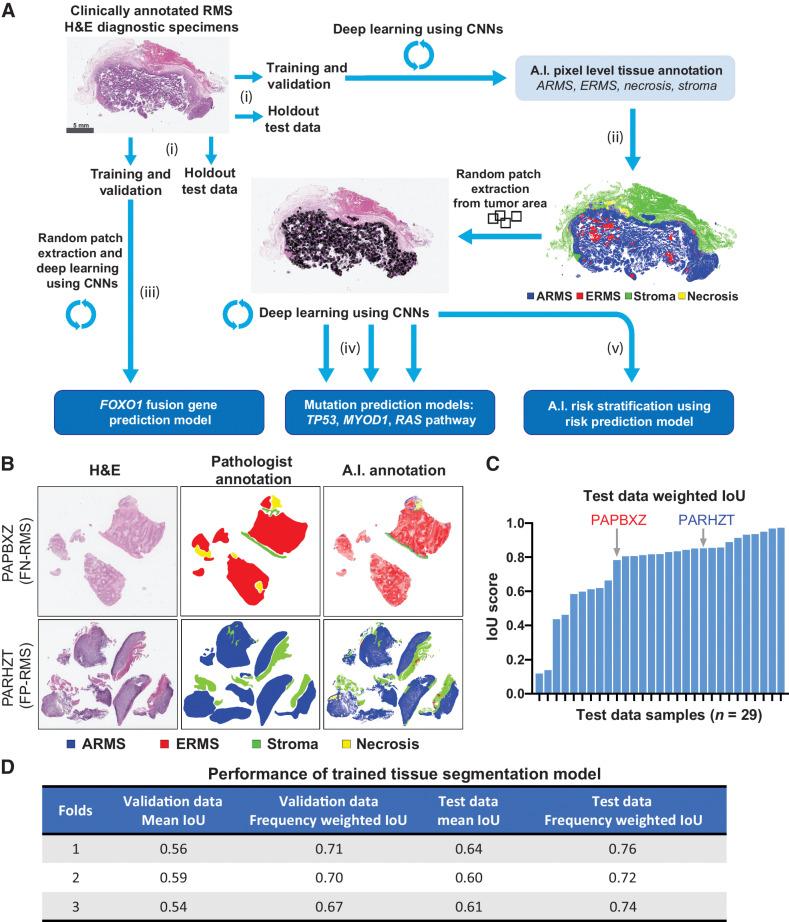 https://cdn.ncbi.nlm.nih.gov/pmc/blobs/6d52/9843436/589b2df5115a/364fig1.jpg