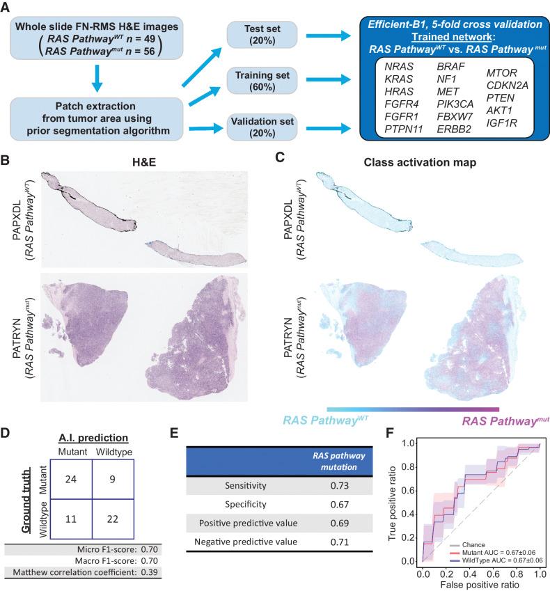 https://cdn.ncbi.nlm.nih.gov/pmc/blobs/6d52/9843436/b785d54a3dd6/364fig4.jpg