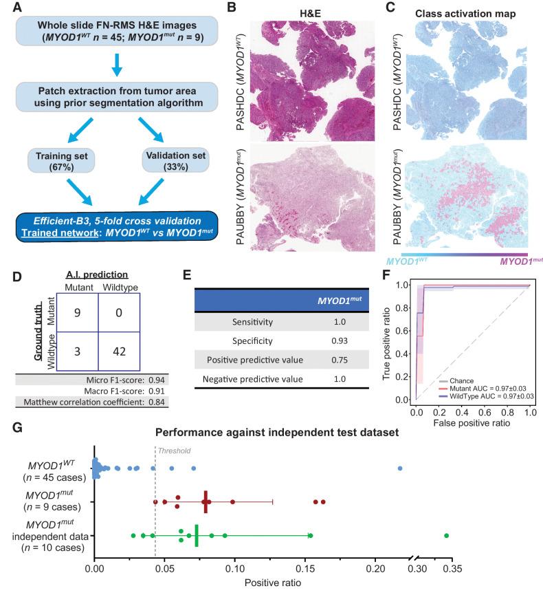 https://cdn.ncbi.nlm.nih.gov/pmc/blobs/6d52/9843436/faaa83bf1ac6/364fig5.jpg