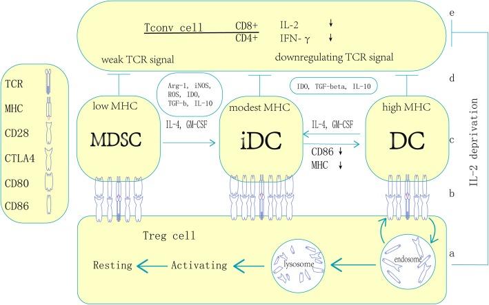 https://cdn.ncbi.nlm.nih.gov/pmc/blobs/6d5a/7023714/fc7b136300cb/12943_2020_1151_Fig3_HTML.jpg