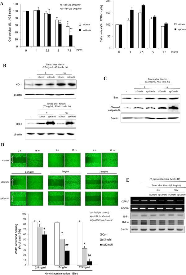 https://cdn.ncbi.nlm.nih.gov/pmc/blobs/6d79/4745743/0de66fc1c0e8/oncotarget-06-29513-g001.jpg
