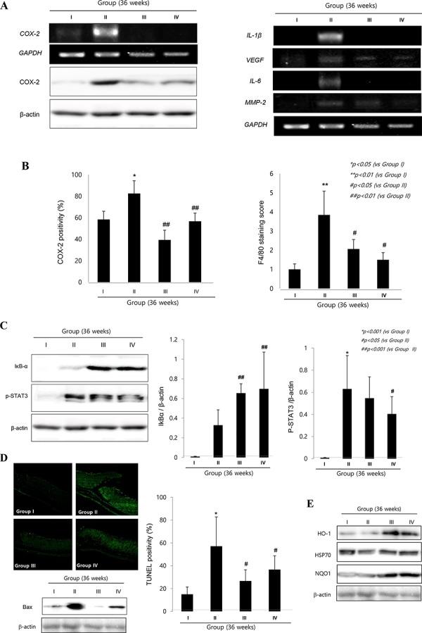https://cdn.ncbi.nlm.nih.gov/pmc/blobs/6d79/4745743/84ed39a99071/oncotarget-06-29513-g005.jpg
