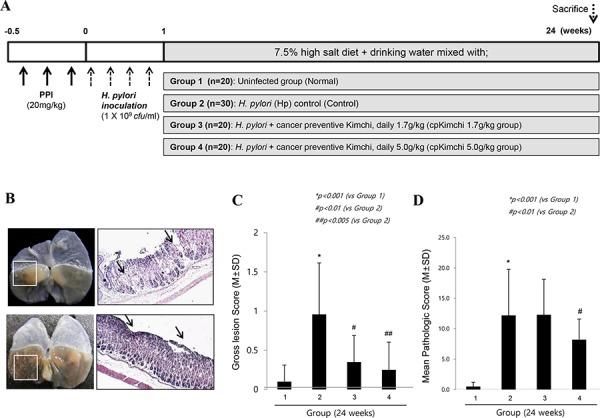 https://cdn.ncbi.nlm.nih.gov/pmc/blobs/6d79/4745743/dd758119d963/oncotarget-06-29513-g002.jpg