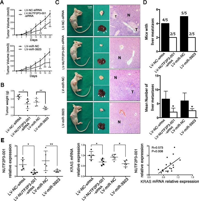 https://cdn.ncbi.nlm.nih.gov/pmc/blobs/6d80/4868736/daa18dba6daa/oncotarget-07-6000-g005.jpg