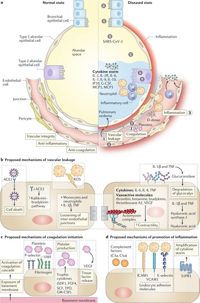https://cdn.ncbi.nlm.nih.gov/pmc/blobs/6d96/7240244/68c61be1e402/41577_2020_343_Fig1_HTML.jpg