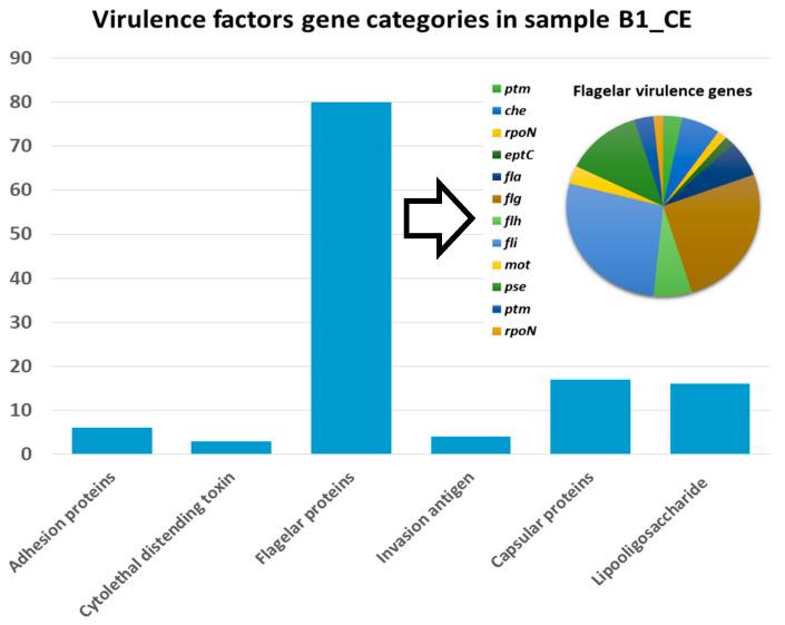 https://cdn.ncbi.nlm.nih.gov/pmc/blobs/6da8/12385557/3b419619e911/genes-16-00946-g004.jpg