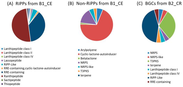 https://cdn.ncbi.nlm.nih.gov/pmc/blobs/6da8/12385557/71c74b72e51d/genes-16-00946-g002.jpg