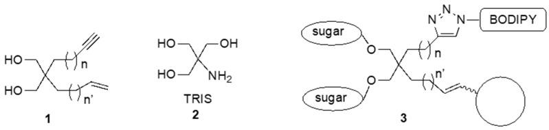 https://cdn.ncbi.nlm.nih.gov/pmc/blobs/6dc7/6600552/57b796f75e72/molecules-24-02050-g001.jpg
