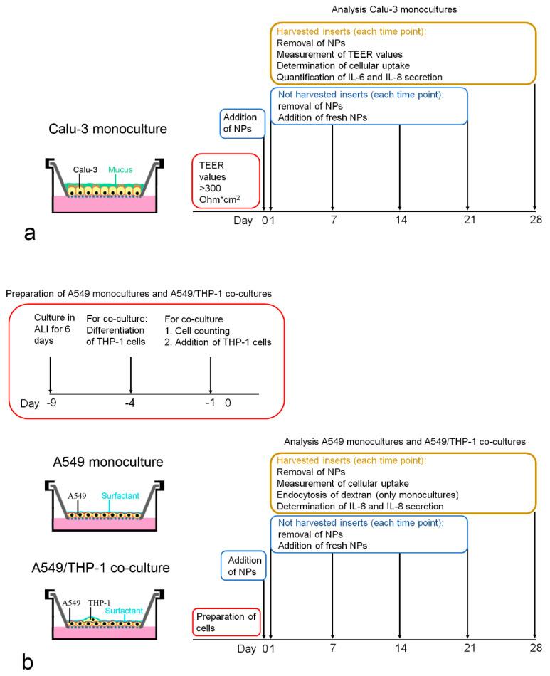 https://cdn.ncbi.nlm.nih.gov/pmc/blobs/6dca/7997552/8d0b672feb58/nanomaterials-11-00606-g001.jpg