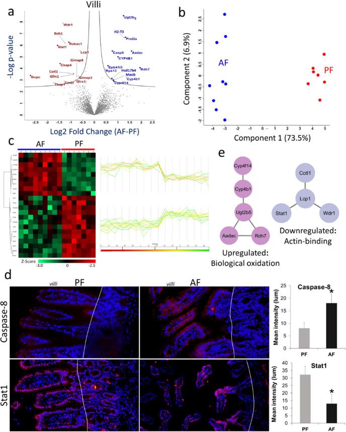 https://cdn.ncbi.nlm.nih.gov/pmc/blobs/6de2/11077582/5455a21d8067/pr4c00037_0003.jpg