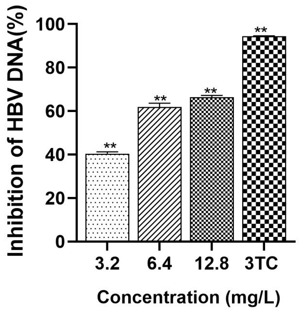 https://cdn.ncbi.nlm.nih.gov/pmc/blobs/6e37/12073499/026def86747a/molecules-30-02063-g006.jpg