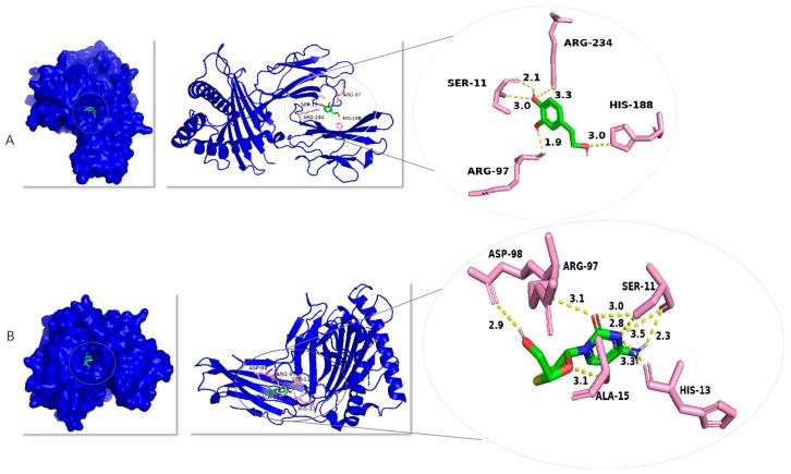 https://cdn.ncbi.nlm.nih.gov/pmc/blobs/6e37/12073499/1a93bb6d3e0c/molecules-30-02063-g008.jpg