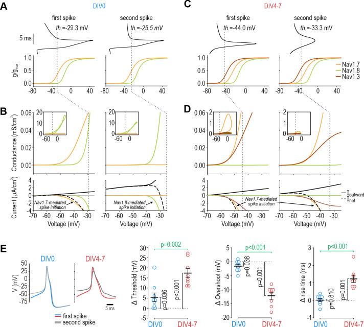 https://cdn.ncbi.nlm.nih.gov/pmc/blobs/6e42/11060714/cce510d9d477/elife-90960-fig5.jpg