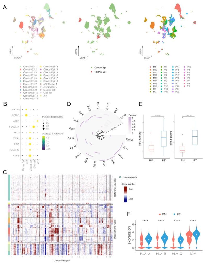 https://cdn.ncbi.nlm.nih.gov/pmc/blobs/6e5c/9855438/80abd85e1565/biomolecules-13-00185-g004.jpg