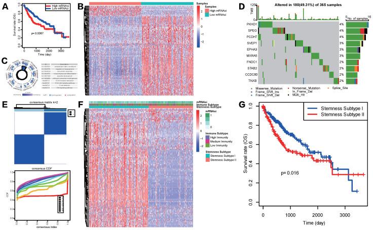 https://cdn.ncbi.nlm.nih.gov/pmc/blobs/6e85/8692161/6030d3803e22/ijbsv18p0360g003.jpg