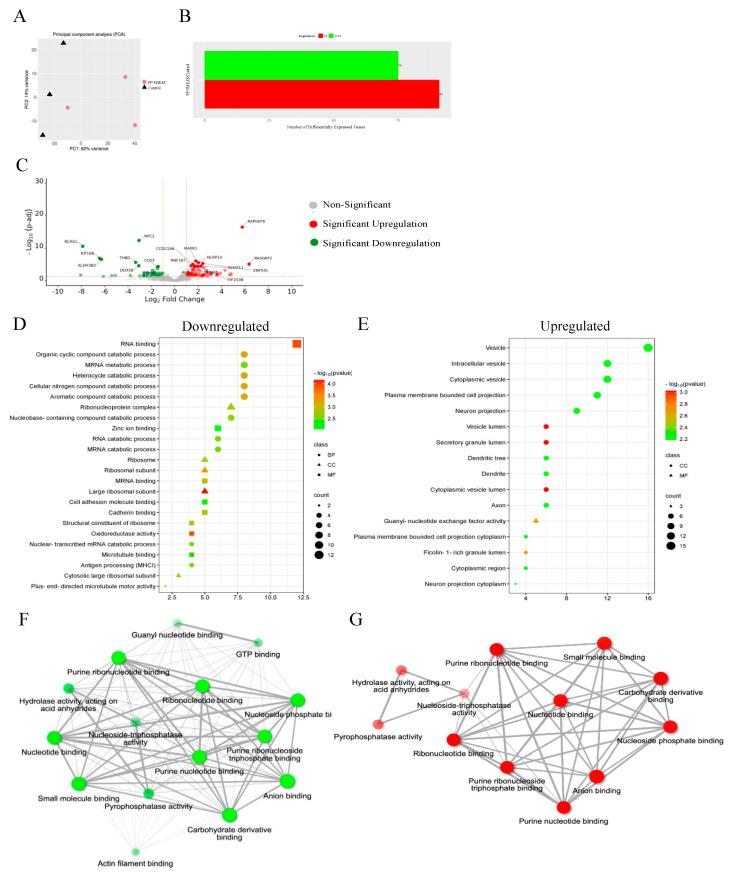 https://cdn.ncbi.nlm.nih.gov/pmc/blobs/6ea5/11274883/926c3404a123/cancers-16-02544-g014a.jpg