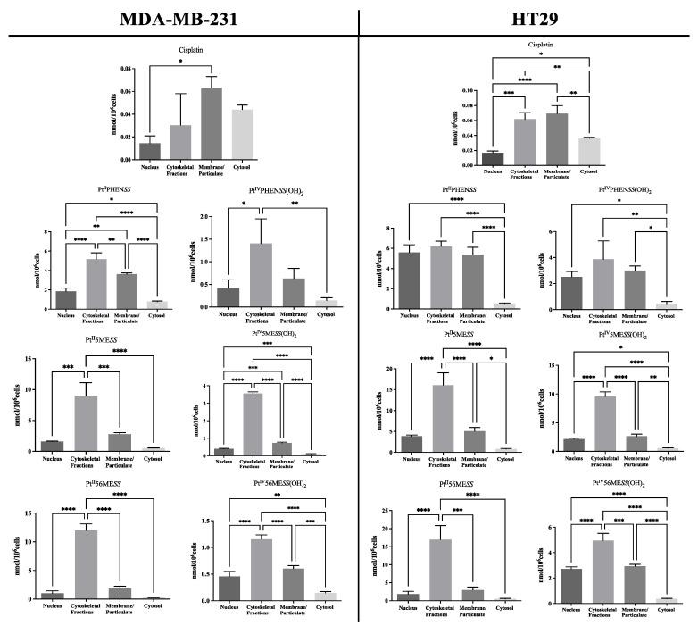 https://cdn.ncbi.nlm.nih.gov/pmc/blobs/6ea5/11274883/c73008c97213/cancers-16-02544-g005.jpg