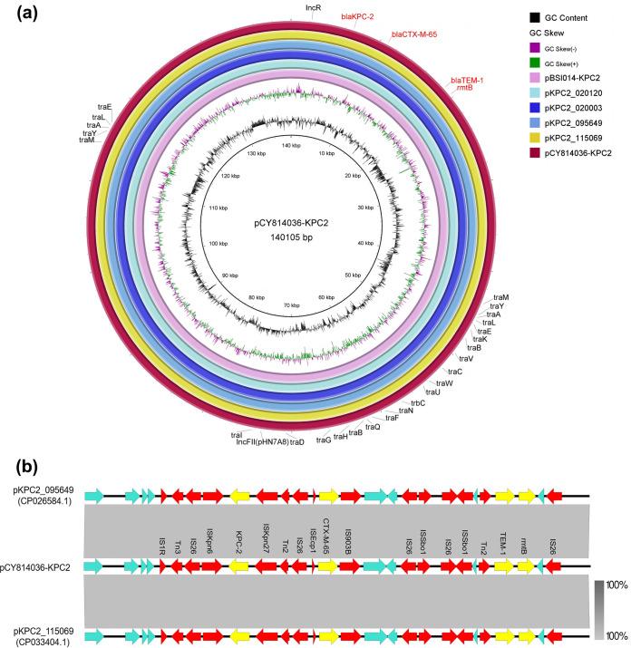 https://cdn.ncbi.nlm.nih.gov/pmc/blobs/6eaa/9769751/99749e549e19/msphere.00477-22-f002.jpg