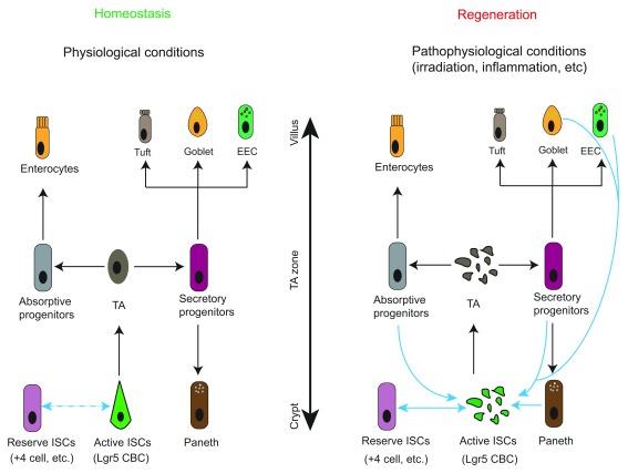https://cdn.ncbi.nlm.nih.gov/pmc/blobs/6ebe/6343229/b4b8c5698337/f1000research-8-18359-g0000.jpg