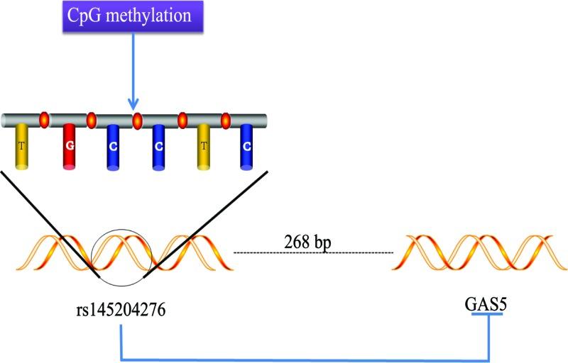 https://cdn.ncbi.nlm.nih.gov/pmc/blobs/6ec4/6340949/4bf49b8846ff/bsr-39-bsr20180789-g1.jpg