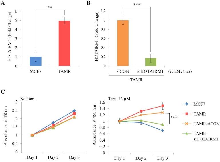 https://cdn.ncbi.nlm.nih.gov/pmc/blobs/6ecd/7150441/34037cdbeaa6/jcav11p3416g001.jpg